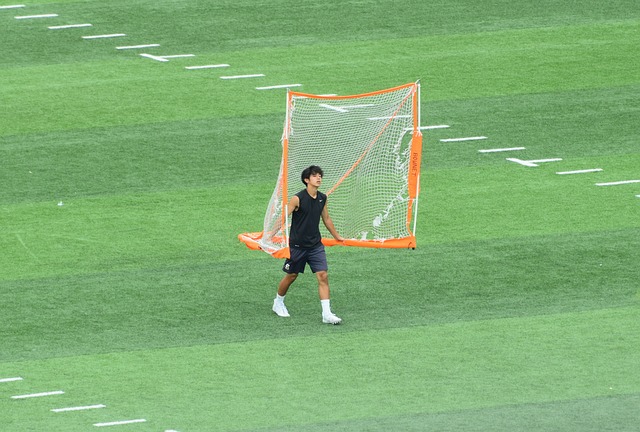 内尔西尼奥
