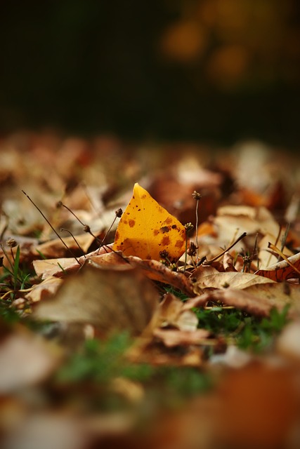 建设之中 建设之中