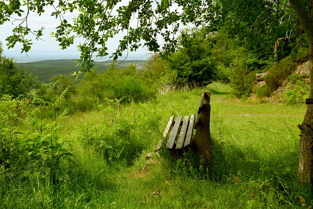 能否战胜强 能否战胜强