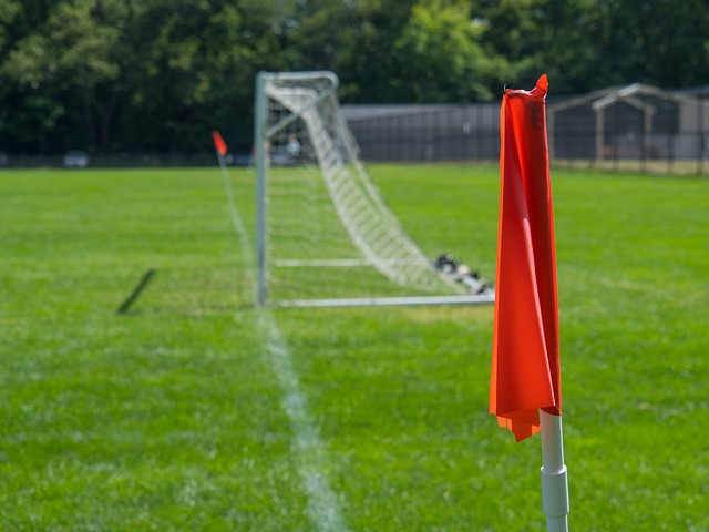 专家的合作 专家的合作