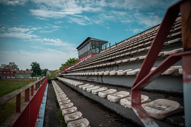 也是德甲活 也是德甲活