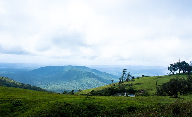 帅滕哈赫的 帅滕哈赫的