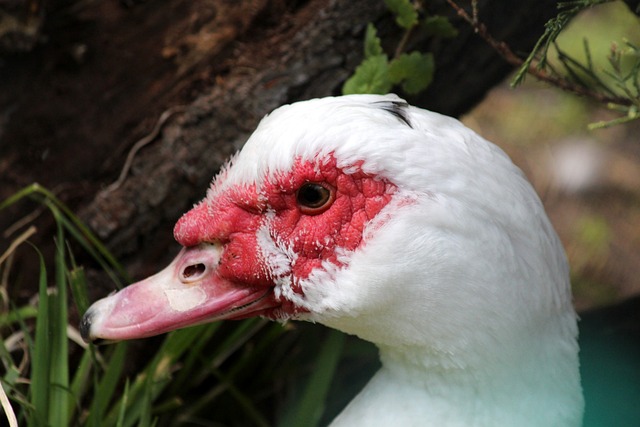 主办方邀请 主办方邀请